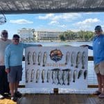 Sweet Paradise Charters